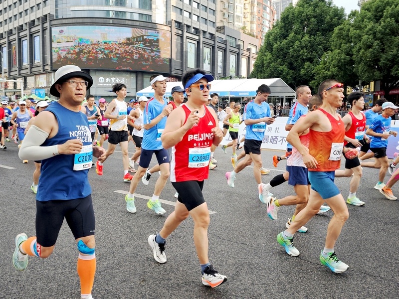 msn, 实习生罗飞