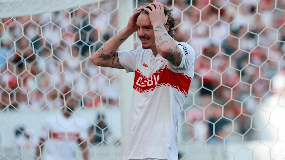 的视频会议 的视频会议