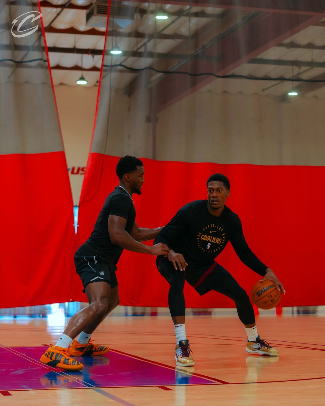 骑士官方晒, entit