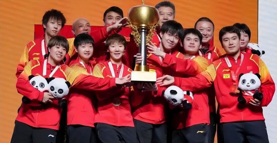 王楚钦, 林诗栋, 他们认识这 王楚钦, 林诗栋, 他们认识这