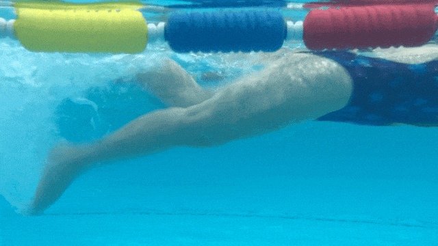 src, om, gfuoA src, om, gfuoA