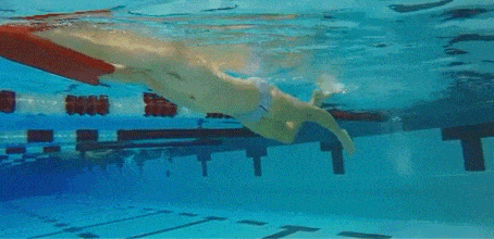 方法, FhEgB 方法, FhEgB